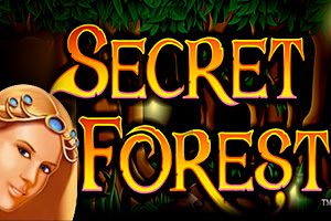 Secret Forest Secret Forest